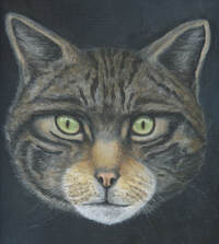 Scottish Wildcat. Scottish Wildcat Painting. Scottish Wildcat Acrylic painting. Felis Silvestris. LemanieLimes