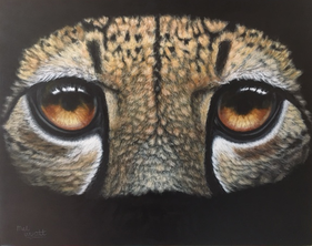 Wild Eyes series - Cheetah painting by Lemanie Limes