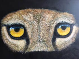Wild Eyes Series, Lions Eyes, Lion painting, lion acrylic painting, panthero leo. LemanieLimes