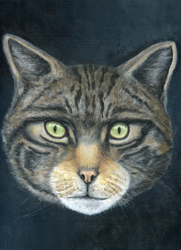 Scottish Wildcat. Scottish Wildcat Painting. Scottish Wildcat Acrylic painting. Felis Silvestris. LemanieLimes